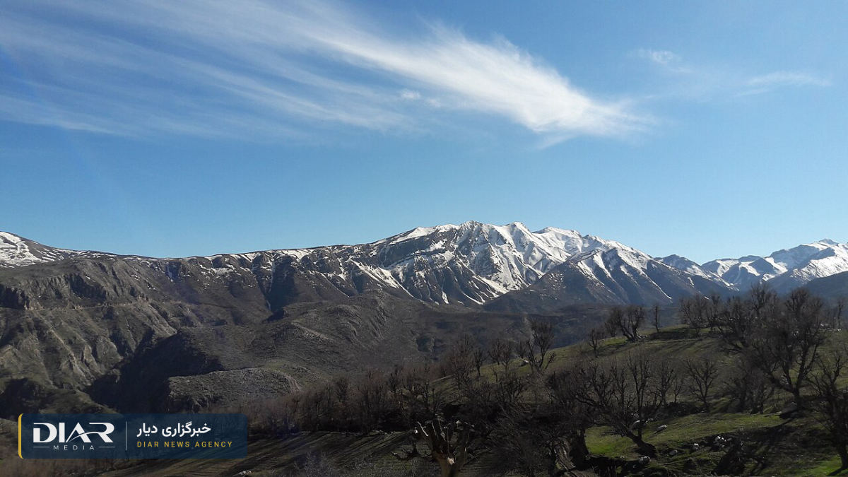 شورش ابوبکری، خواننده و نوازنده کرد، در دادسرای سردشت بازداشت شد