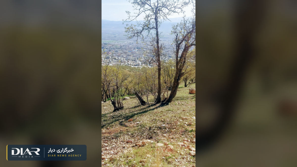 دادسرای انقلاب بویراحمد شش فعال مدنی یاسوج را احضار کرد و گوشیهایشان را خواست