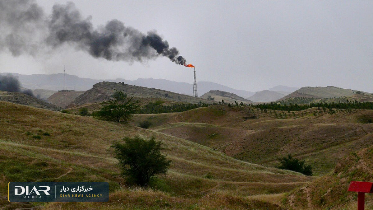 شلاق کارگران پتروپارس هویزه؛ سندیکای هفتتپه خواستار توقف فوری احکام شد